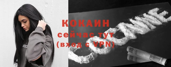 дживик Баксан