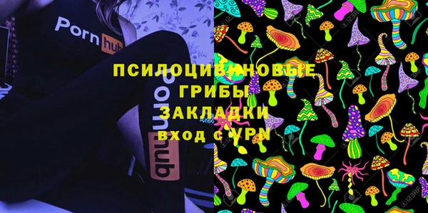 дживик Баксан