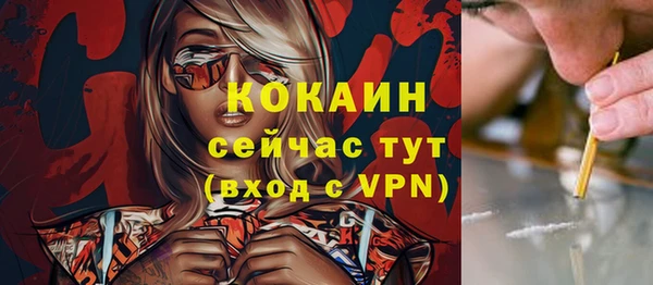 дживик Баксан