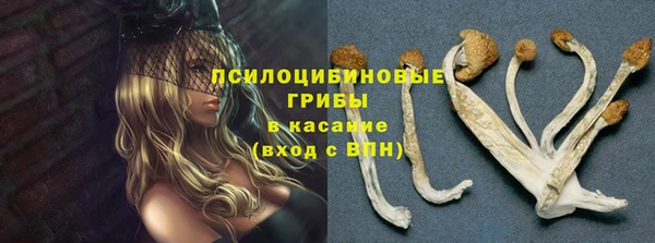 тгк Балахна