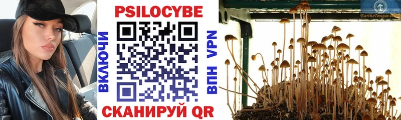 Галлюциногенные грибы MAGIC MUSHROOMS  нарко площадка как зайти  Великие Луки 